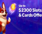 RedDog Casino Crypto Promo